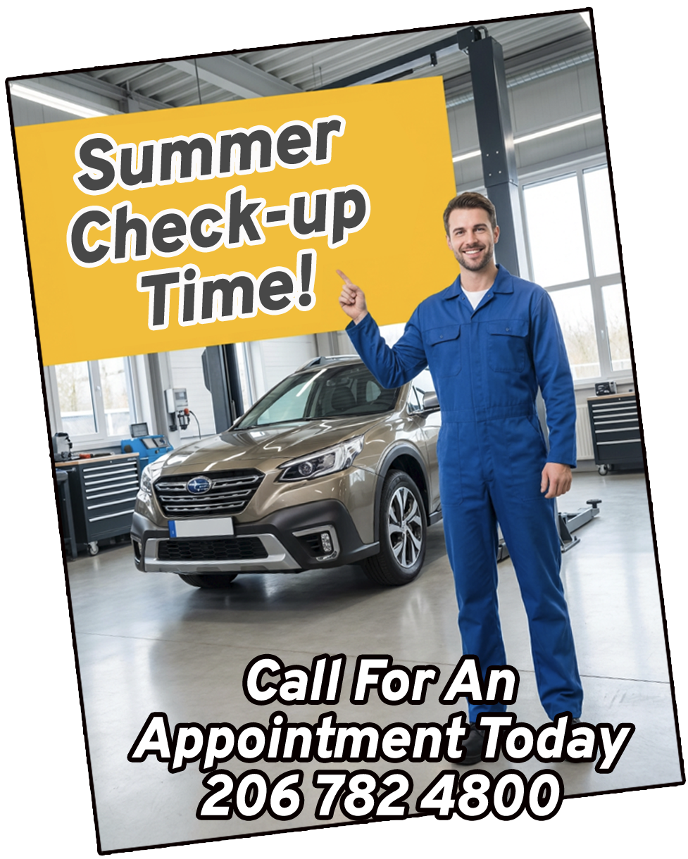 Summer Check-Up Special